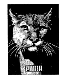 Mẫu nhãn hiệu PUMA