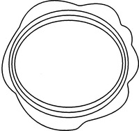 Mẫu nhãn hiệu Nhãn hiệu 702533