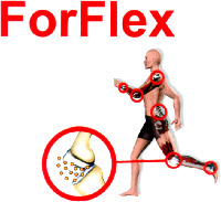 Mẫu nhãn hiệu ForFlex