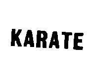 Mẫu nhãn hiệu KARATE