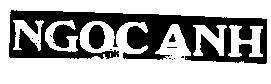 Mẫu nhãn hiệu Ngọc Anh