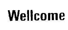 Mẫu nhãn hiệu WELLCOME
