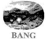 Mẫu nhãn hiệu BANG