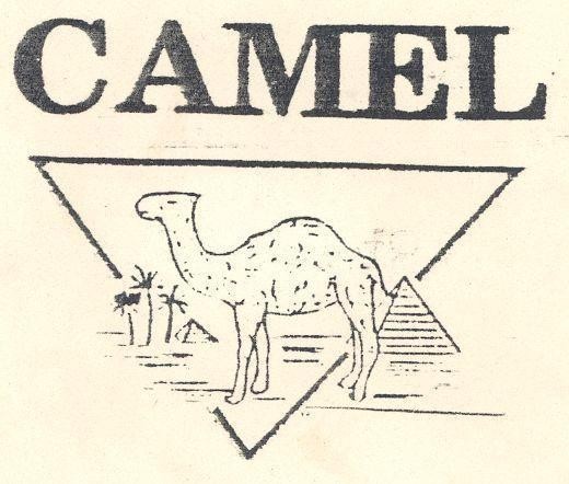 Mẫu nhãn hiệu CAMEL