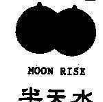 Mẫu nhãn hiệu MOON RISE
