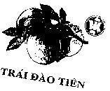 Mẫu nhãn hiệu Trái Đào Tiên-VM