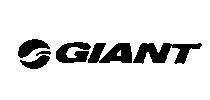 Mẫu nhãn hiệu GIANT