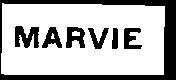 Mẫu nhãn hiệu MARVIE