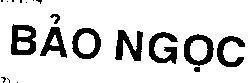 Mẫu nhãn hiệu BAO NGOC