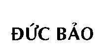 Mẫu nhãn hiệu Đức Bảo