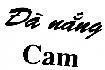 Mẫu nhãn hiệu Đà Nẵng CAM