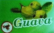 Mẫu nhãn hiệu GUAVA