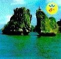 Mẫu nhãn hiệu DH