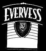 Mẫu nhãn hiệu EV EVERVESS