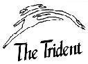 Mẫu nhãn hiệu THE TRIDENT