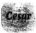Mẫu nhãn hiệu CESAR