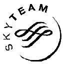 Mẫu nhãn hiệu H SKYTEAM