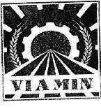Mẫu nhãn hiệu VIAMIN