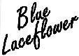 Mẫu nhãn hiệu BLUE LACEFLOWER