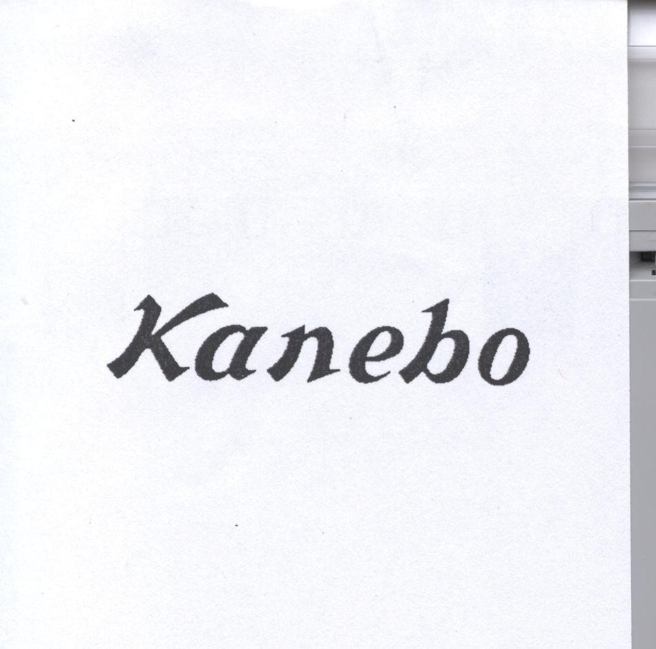 Mẫu nhãn hiệu KANEBO