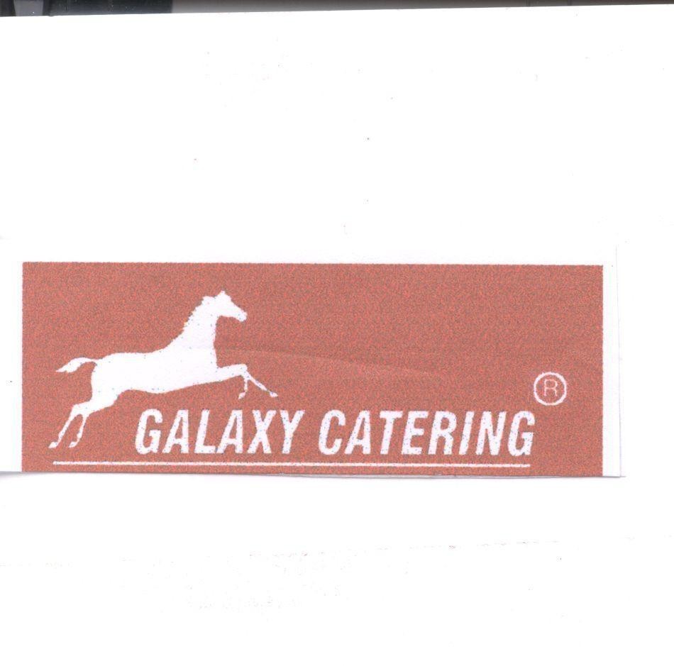 Mẫu nhãn hiệu GALAXY CATERING