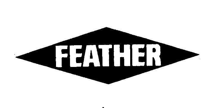 Mẫu nhãn hiệu FEATHER