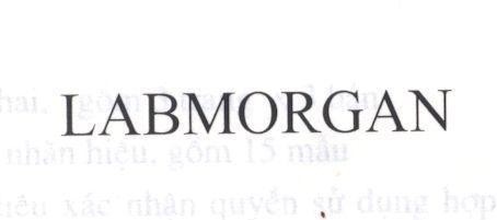 Mẫu nhãn hiệu LABMORGAN