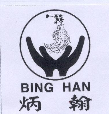 Mẫu nhãn hiệu BING HAN