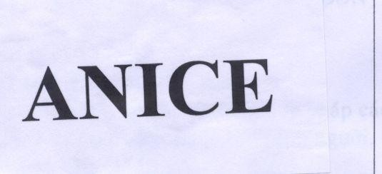 Mẫu nhãn hiệu ANICE