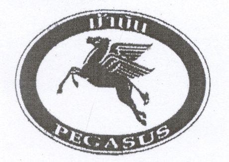 Mẫu nhãn hiệu PEGASUS