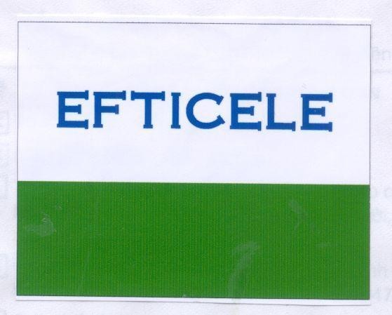 Mẫu nhãn hiệu EFTICELE