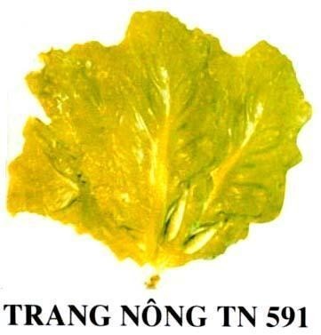 Mẫu nhãn hiệu TRANG NÔNG TN 591