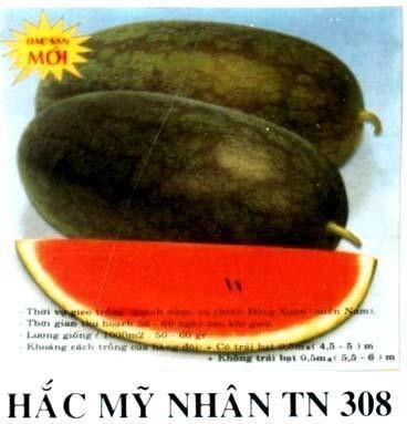 Mẫu nhãn hiệu HắC Mỹ NHÂN TN 308 ĐặC SảN MớI
