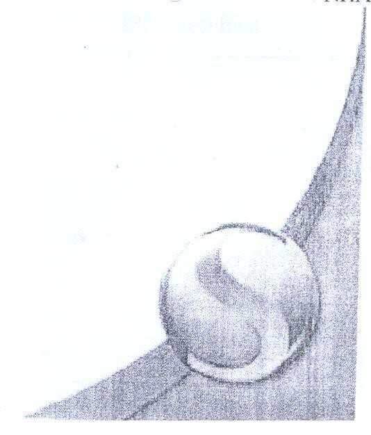 Mẫu nhãn hiệu S