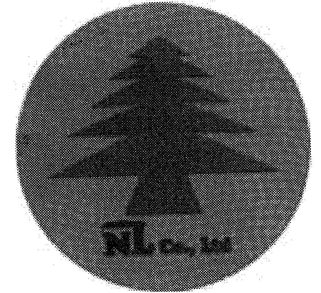 Mẫu nhãn hiệu NL CO.,LTD