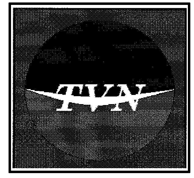 Mẫu nhãn hiệu TVN