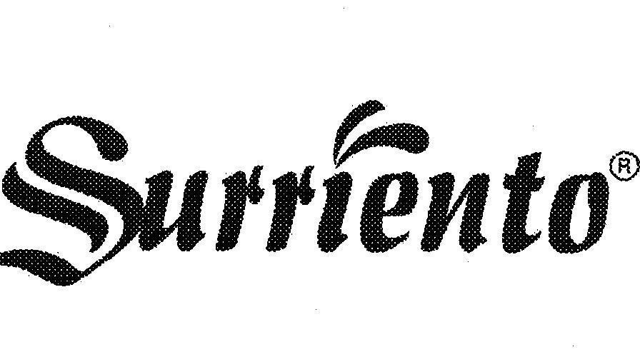Mẫu nhãn hiệu SURRIENTO