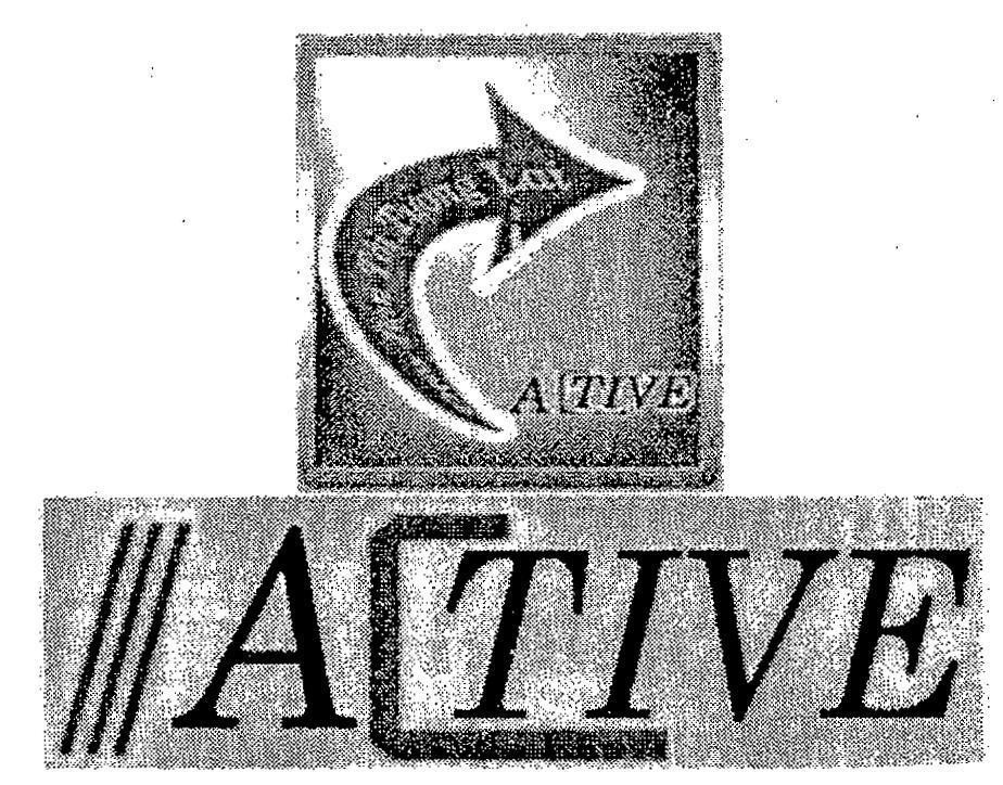 Mẫu nhãn hiệu ACTIVE