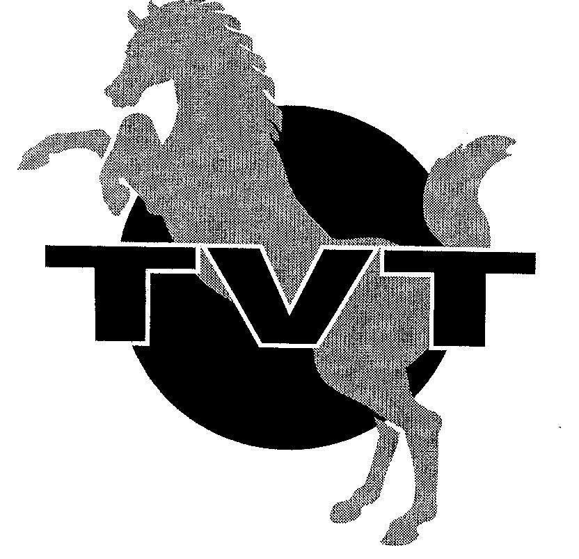 Mẫu nhãn hiệu TVT