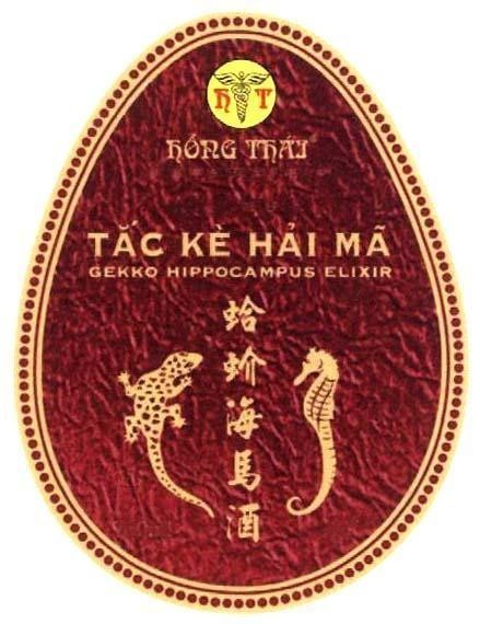 Mẫu nhãn hiệu HT Hồng Thái Tắc Kè Hải Mã