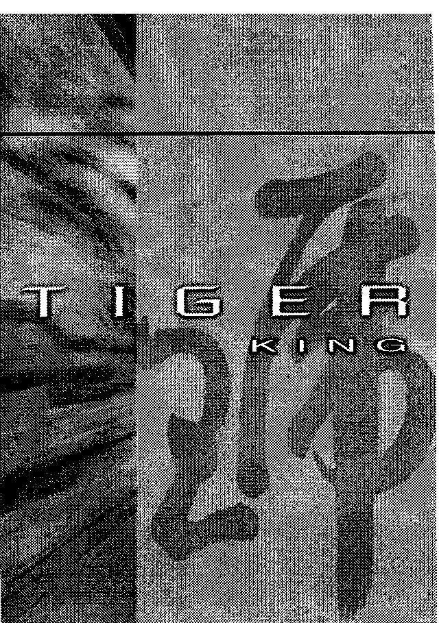 Mẫu nhãn hiệu TIGER KING
