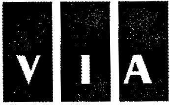 Mẫu nhãn hiệu VIA V I A