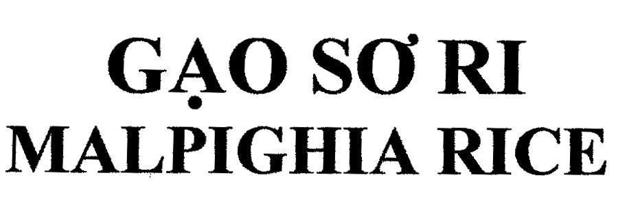 Mẫu nhãn hiệu SƠ RI MALPIGHIA GạO RICE