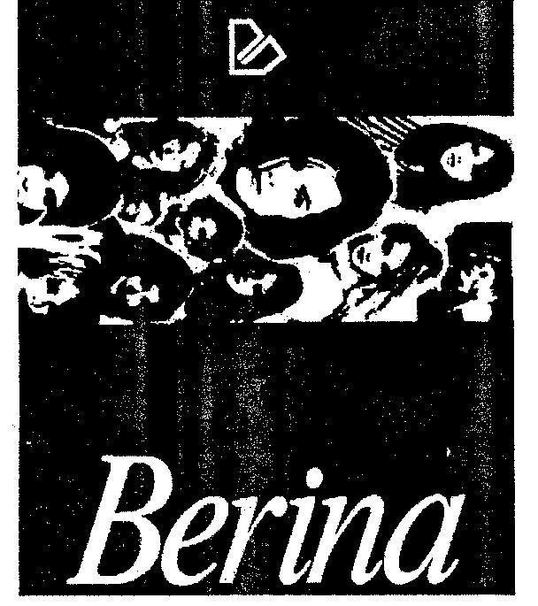 Mẫu nhãn hiệu BERINA