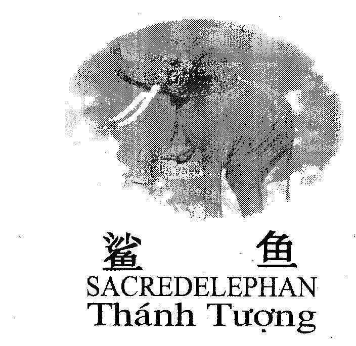 Mẫu nhãn hiệu SACREDELEPHAN Thánh Tượng