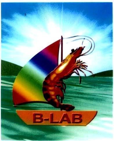 Mẫu nhãn hiệu B-LAB