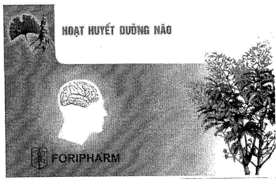 Mẫu nhãn hiệu Hoạt Huyết Dưỡng Não FORIPHARM