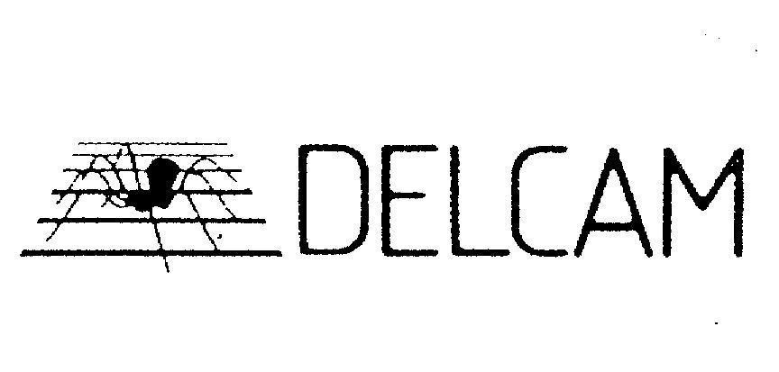 Mẫu nhãn hiệu DELCAM