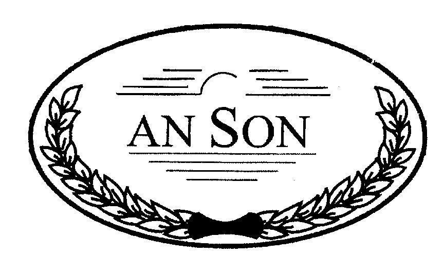 Mẫu nhãn hiệu AN SON