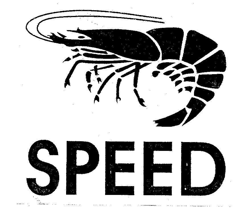 Mẫu nhãn hiệu SPEED